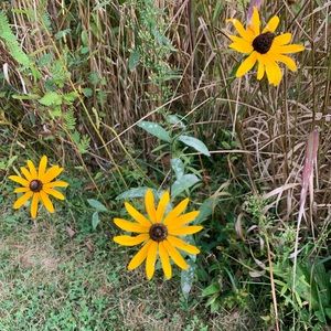 Meet your Posher, Portia